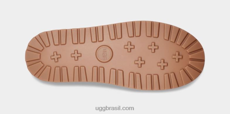 castanha 4VTTD606 UGG todo gênero guarda bota