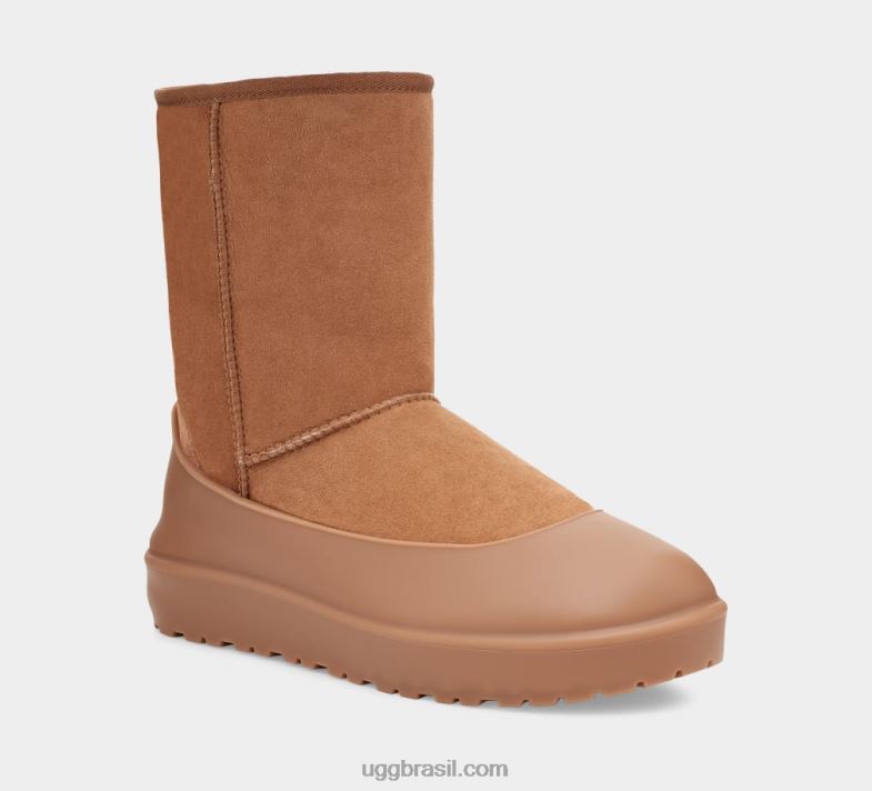 castanha 4VTTD606 UGG todo gênero guarda bota