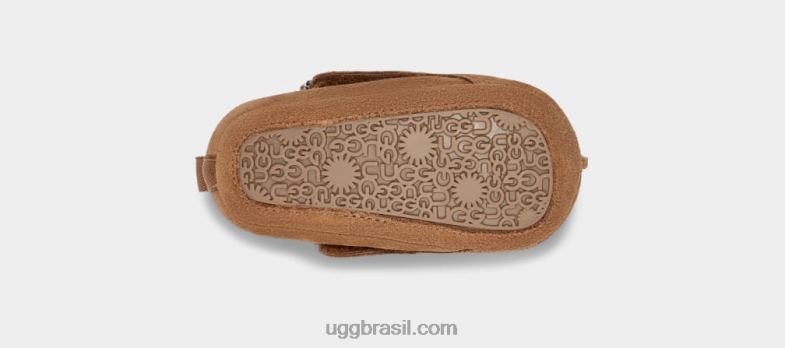 castanha 4VTTD2022 UGG bebê tasman