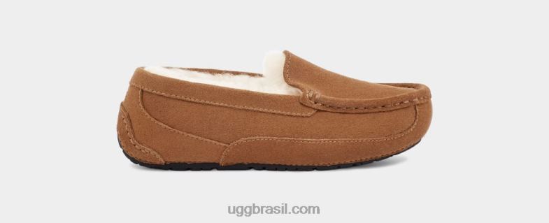 camurça castanha 4VTTD2325 UGG crianças ascot