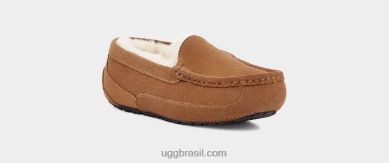 camurça castanha 4VTTD2325 UGG crianças ascot