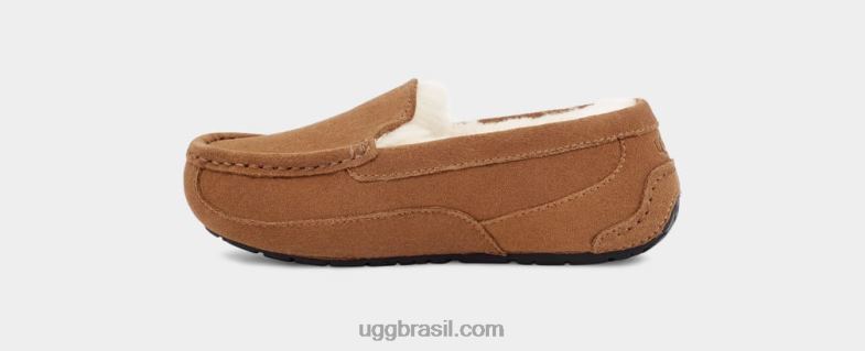 camurça castanha 4VTTD2325 UGG crianças ascot