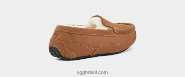 camurça castanha 4VTTD2325 UGG crianças ascot