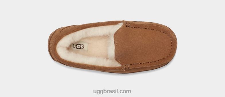 camurça castanha 4VTTD2325 UGG crianças ascot