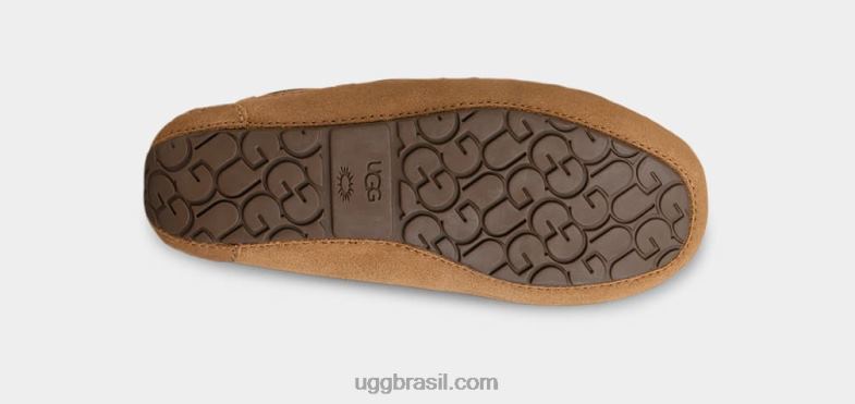 castanha 4VTTD2091 UGG crianças chinelo dakota