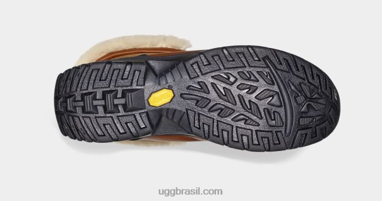 Worchester 4VTTD1523 UGG homens morro