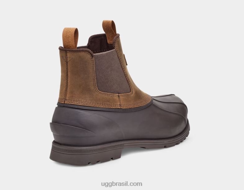 castanha 4VTTD1520 UGG homens gatson chelsea