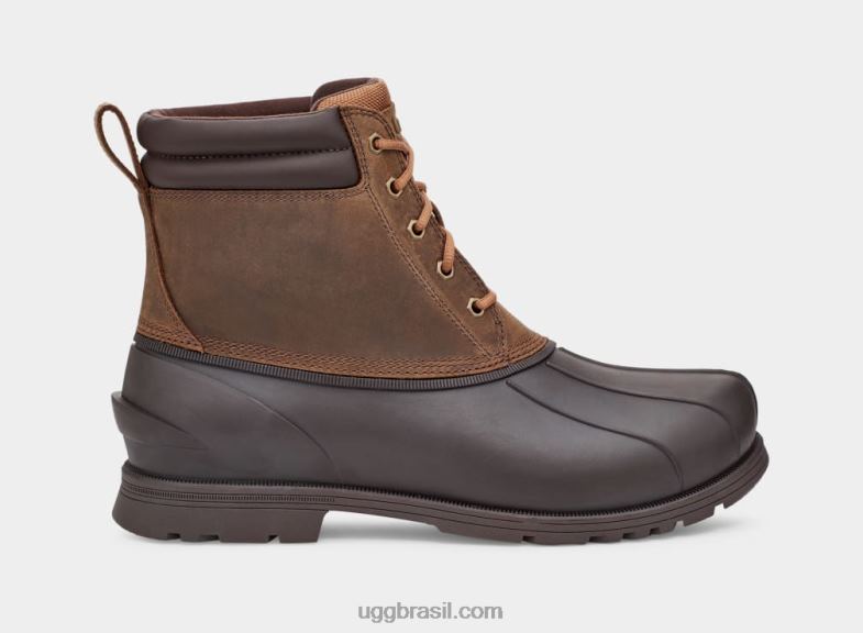 castanha 4VTTD2296 UGG homens Gatson Mid