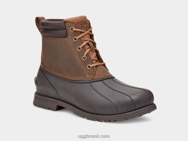 castanha 4VTTD2296 UGG homens Gatson Mid