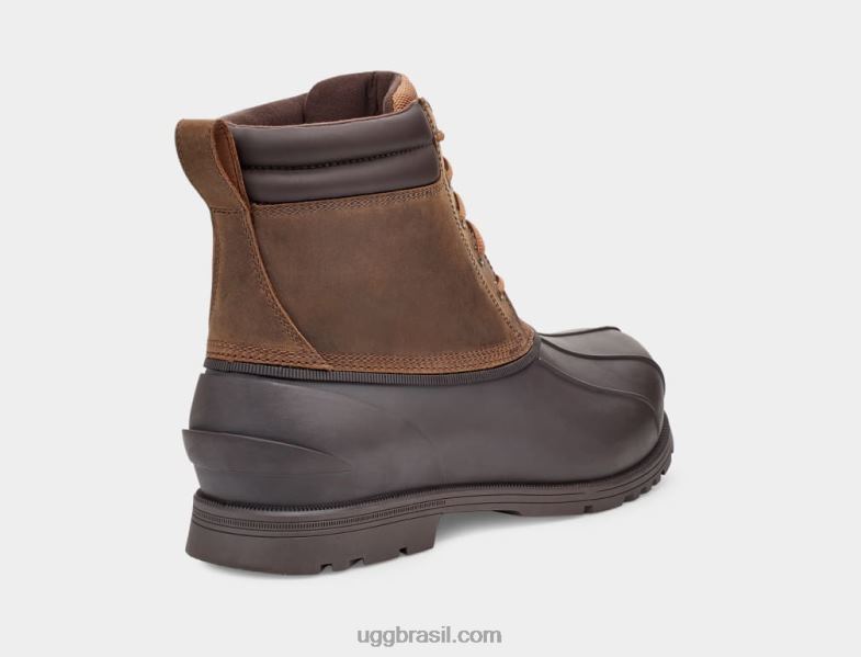 castanha 4VTTD2296 UGG homens Gatson Mid