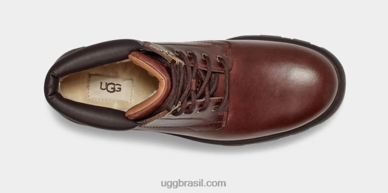 couro castanho 4VTTD1536 UGG homens stenton