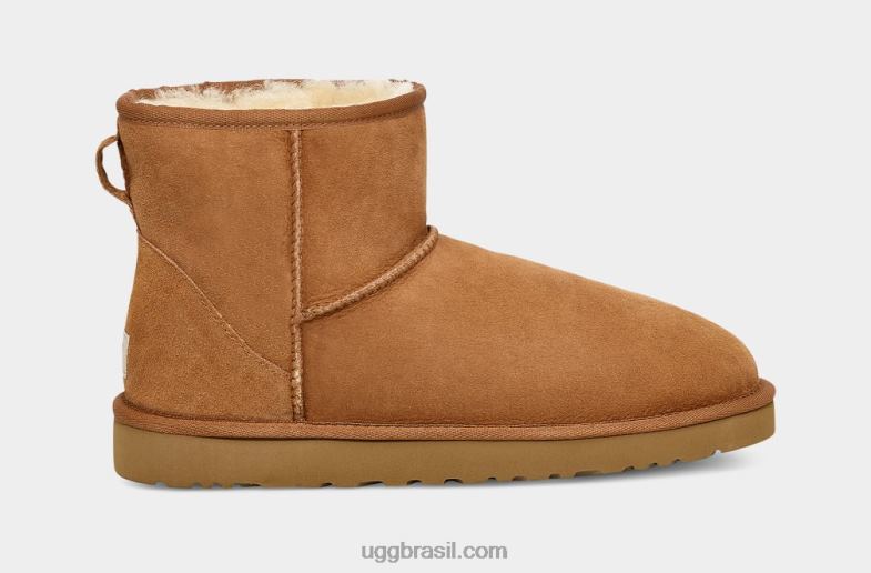 castanha 4VTTD1405 UGG homens mini bota classica