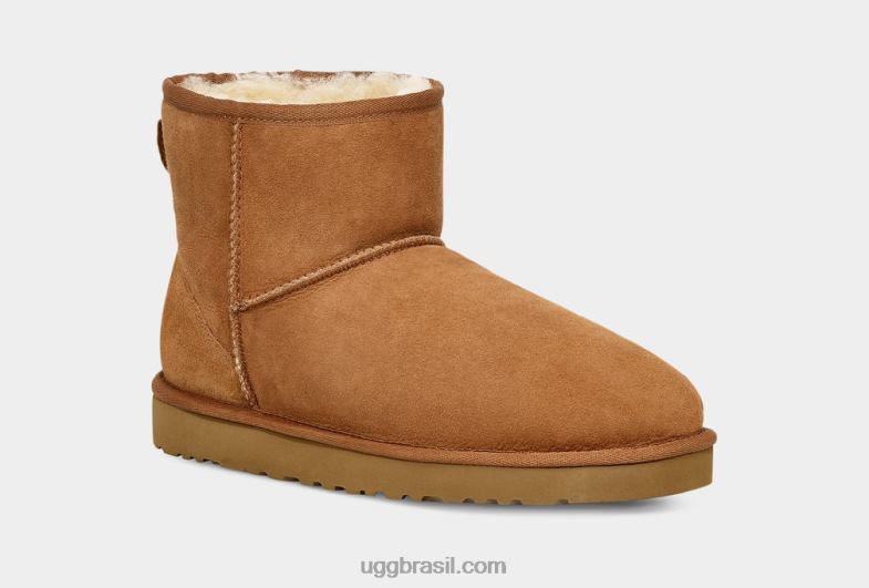 castanha 4VTTD1405 UGG homens mini bota classica
