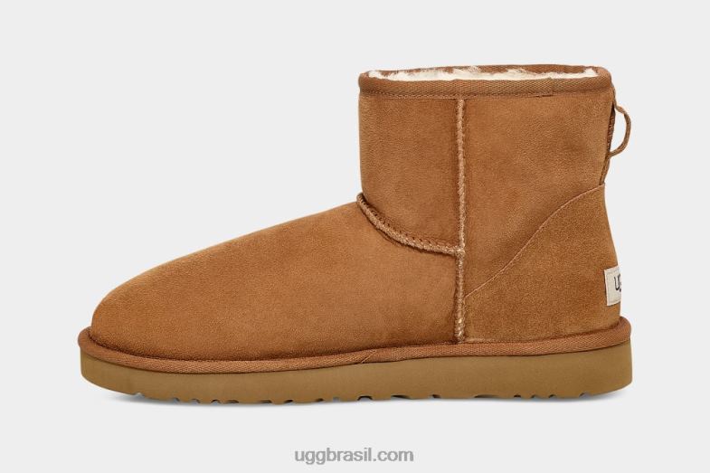 castanha 4VTTD1405 UGG homens mini bota classica