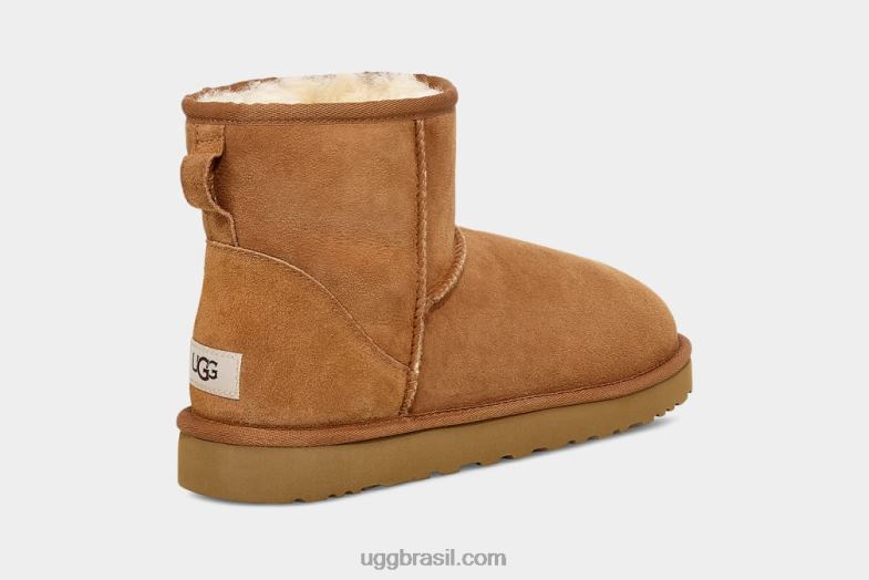 castanha 4VTTD1405 UGG homens mini bota classica