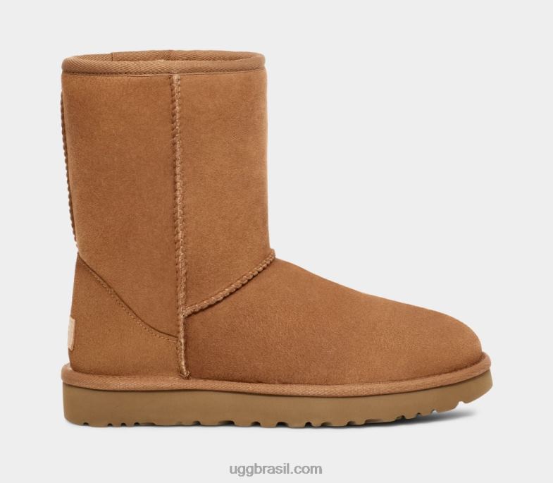 castanha 4VTTD1515 UGG homens short clássico
