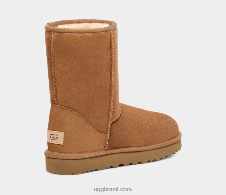 castanha 4VTTD1515 UGG homens short clássico