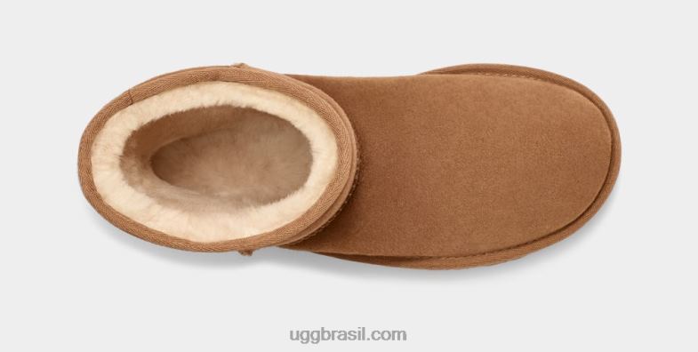 castanha 4VTTD1515 UGG homens short clássico