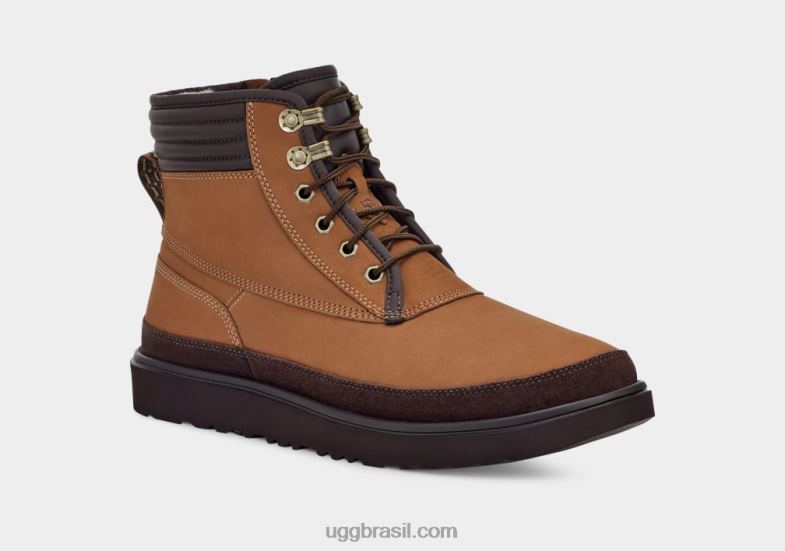 castanha 4VTTD1580 UGG homens tempo utilitário esportivo highland