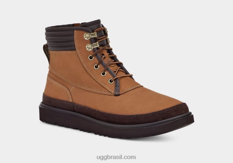 castanha 4VTTD1580 UGG homens tempo utilitário esportivo highland
