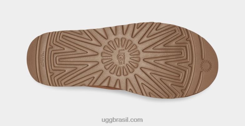 castanha 4VTTD1581 UGG homens neumel clique rápido