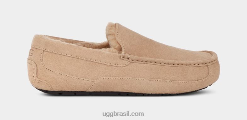 areia 4VTTD1423 UGG homens chinelo ascot