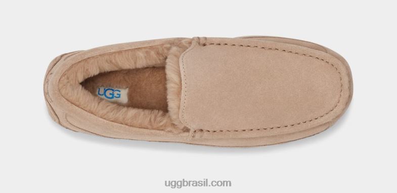 areia 4VTTD1423 UGG homens chinelo ascot