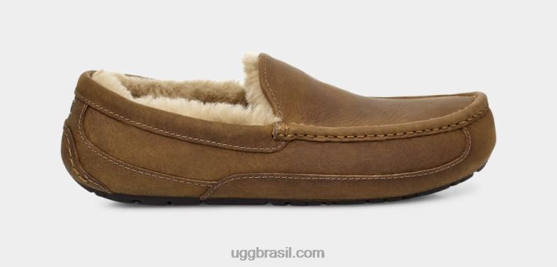 bronzeado 4VTTD1504 UGG homens couro ascot fosco