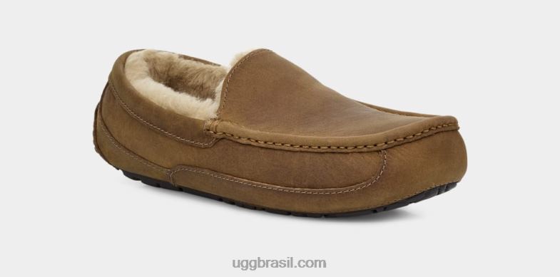 bronzeado 4VTTD1504 UGG homens couro ascot fosco