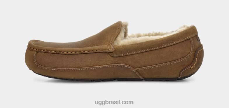 bronzeado 4VTTD1504 UGG homens couro ascot fosco