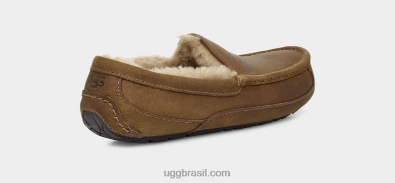 bronzeado 4VTTD1504 UGG homens couro ascot fosco