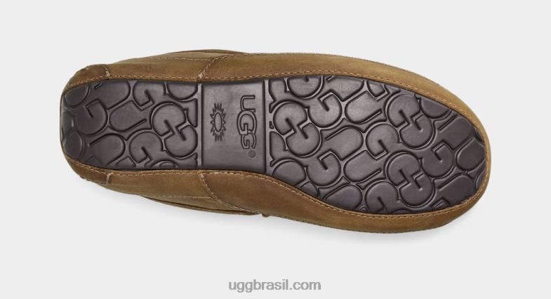 bronzeado 4VTTD1504 UGG homens couro ascot fosco