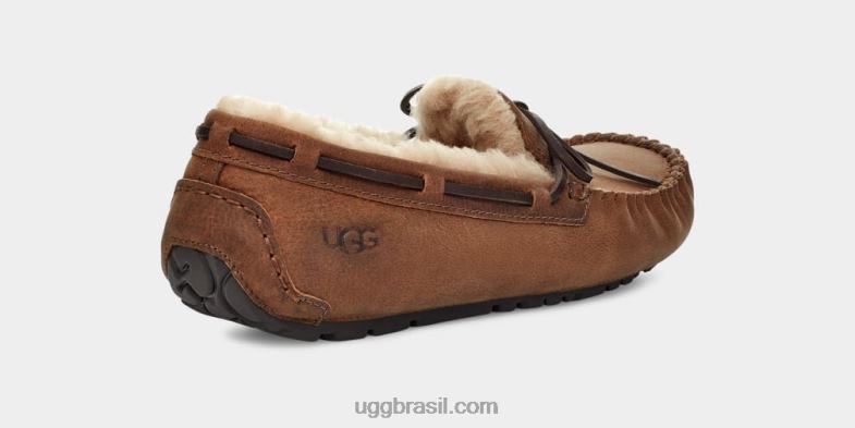 bronzeado 4VTTD203 UGG homens olsen