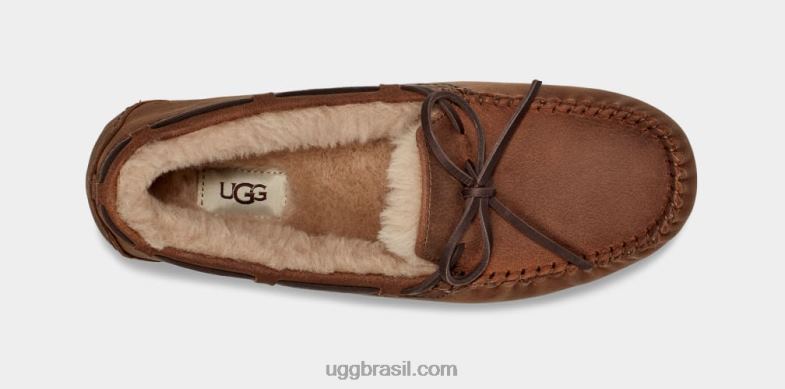 bronzeado 4VTTD203 UGG homens olsen