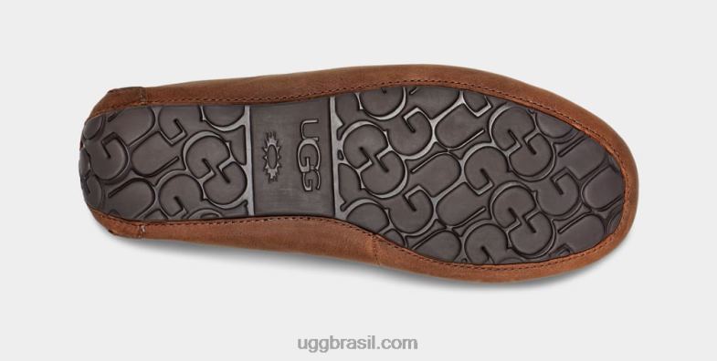 bronzeado 4VTTD203 UGG homens olsen
