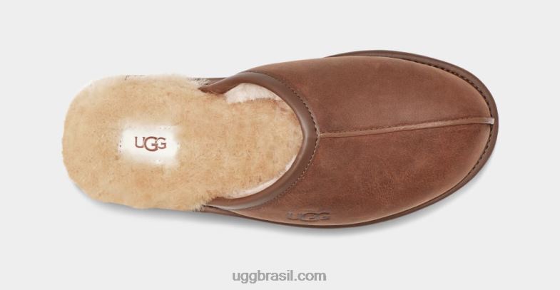 bronzeado 4VTTD2300 UGG homens couro raspado