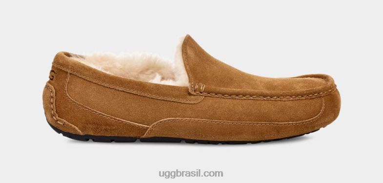 castanha 4VTTD1421 UGG homens chinelo ascot