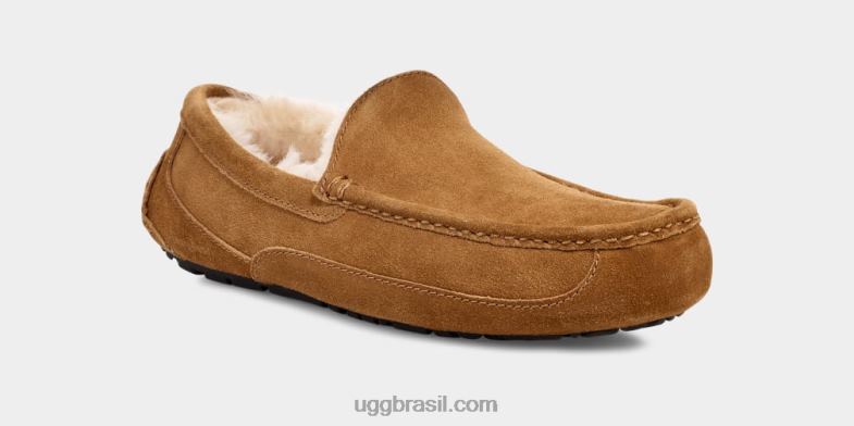 castanha 4VTTD1421 UGG homens chinelo ascot