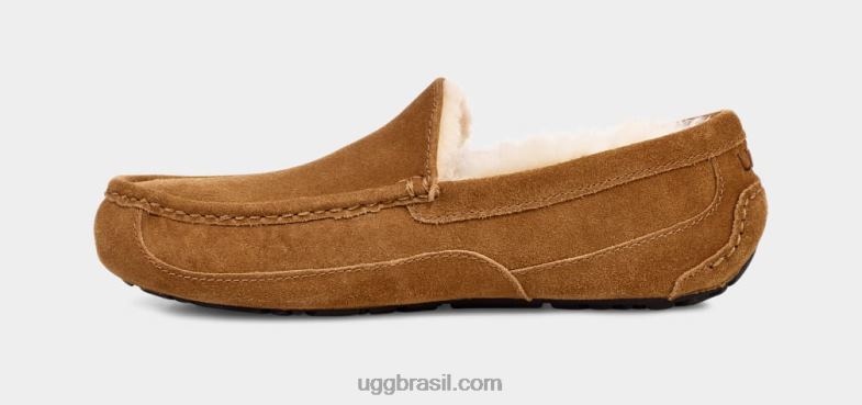 castanha 4VTTD1421 UGG homens chinelo ascot