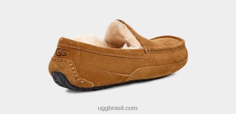 castanha 4VTTD1421 UGG homens chinelo ascot