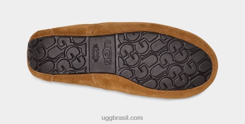 castanha 4VTTD1421 UGG homens chinelo ascot