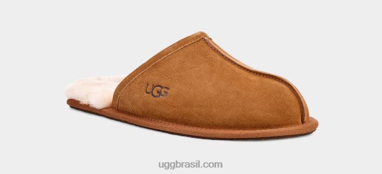 castanha 4VTTD1426 UGG homens arranhar