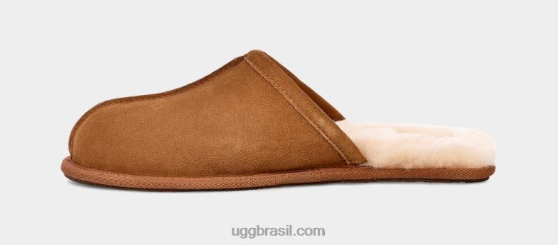 castanha 4VTTD1426 UGG homens arranhar