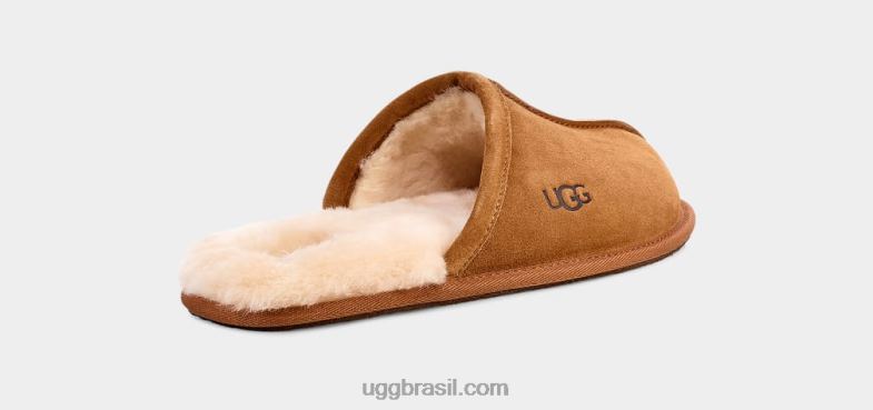 castanha 4VTTD1426 UGG homens arranhar