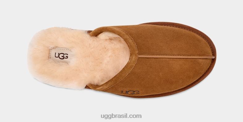 castanha 4VTTD1426 UGG homens arranhar