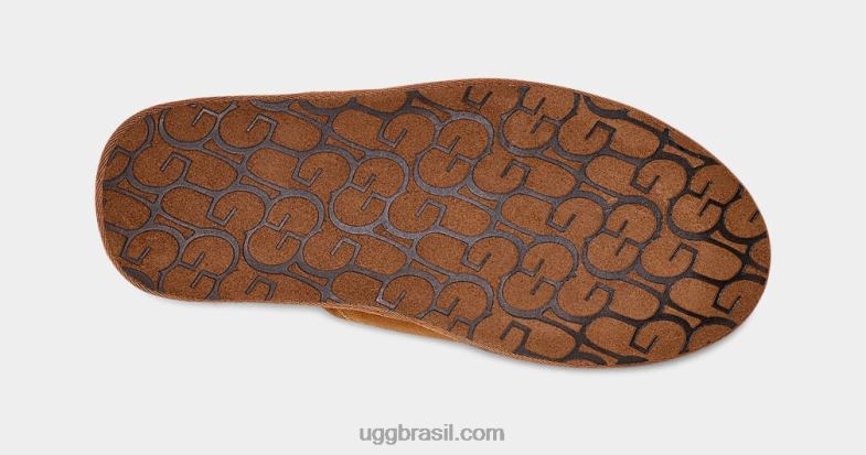 castanha 4VTTD1426 UGG homens arranhar