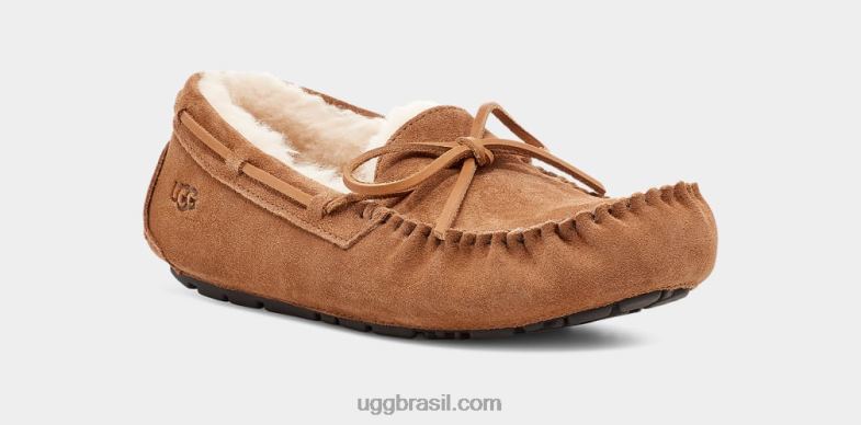 castanha 4VTTD1543 UGG homens chinelo olsen