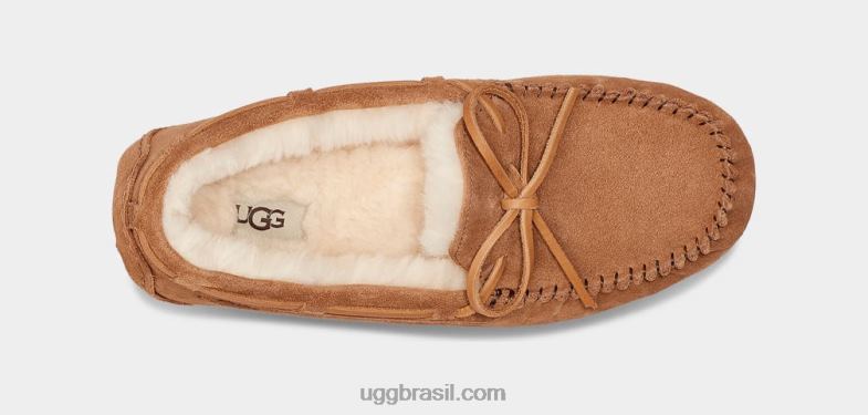 castanha 4VTTD1543 UGG homens chinelo olsen