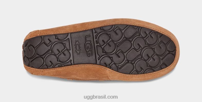 castanha 4VTTD1543 UGG homens chinelo olsen
