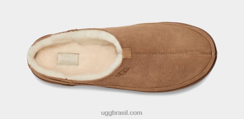 castanha 4VTTD1642 UGG homens parkdale tamanco